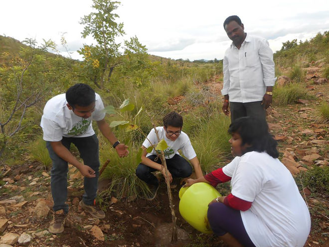 Projekt pro sázení stromů