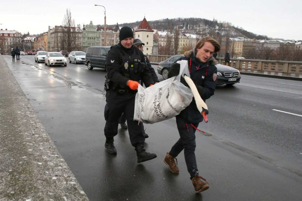 Dobrovolníci ze záchranné stanice